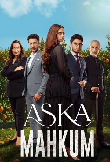 Заключенный любви